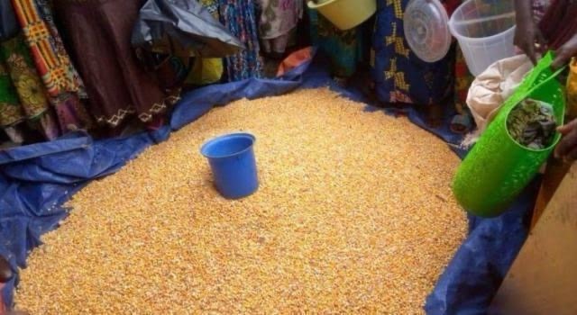 SOCIETE | KINSHASA : La baisse du prix du maïs révèle les dysfonctionnements des barrières routières